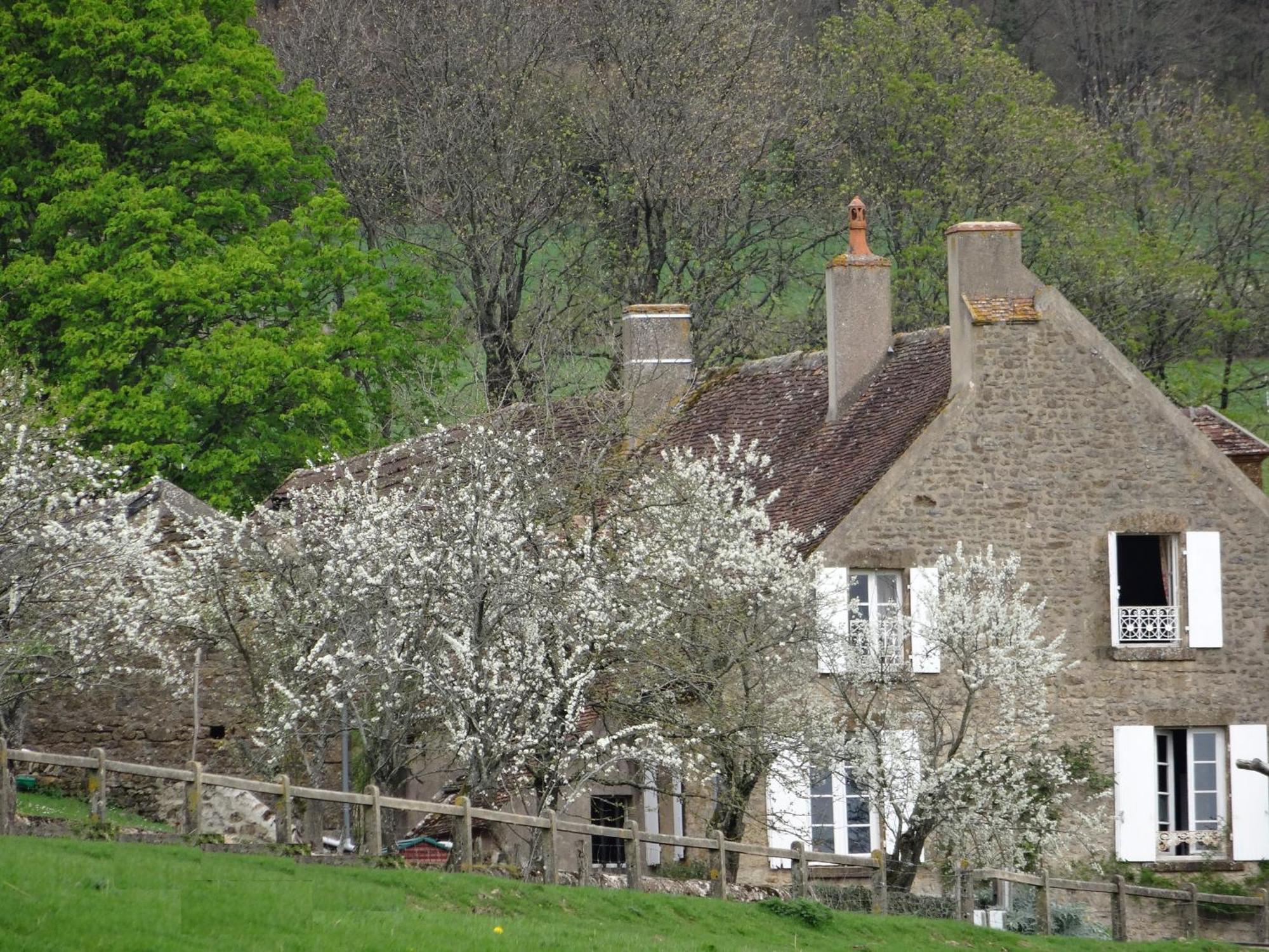 Domaine De Dremont Bed and Breakfast Anthien Exteriör bild