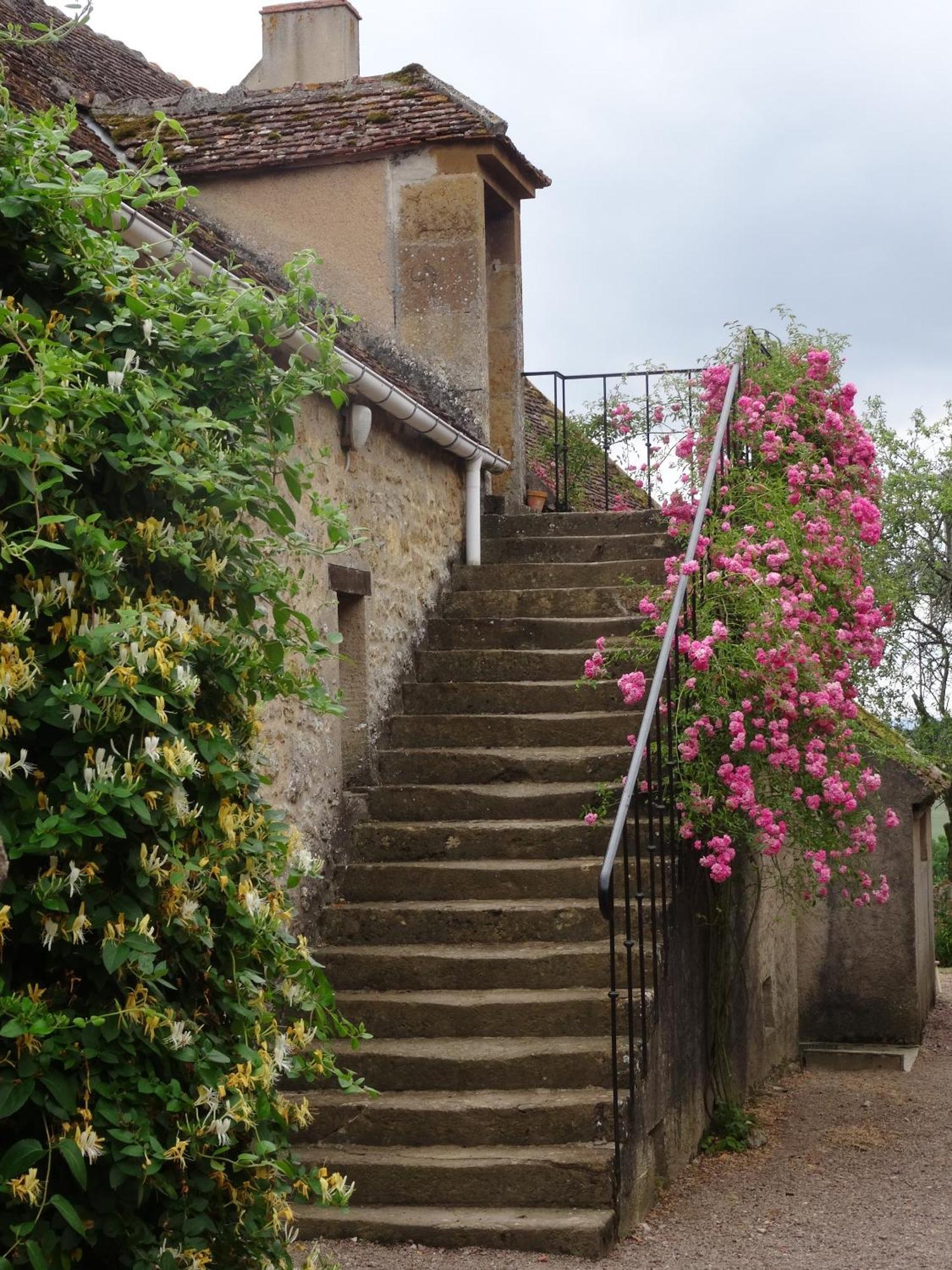 Domaine De Dremont Bed and Breakfast Anthien Exteriör bild