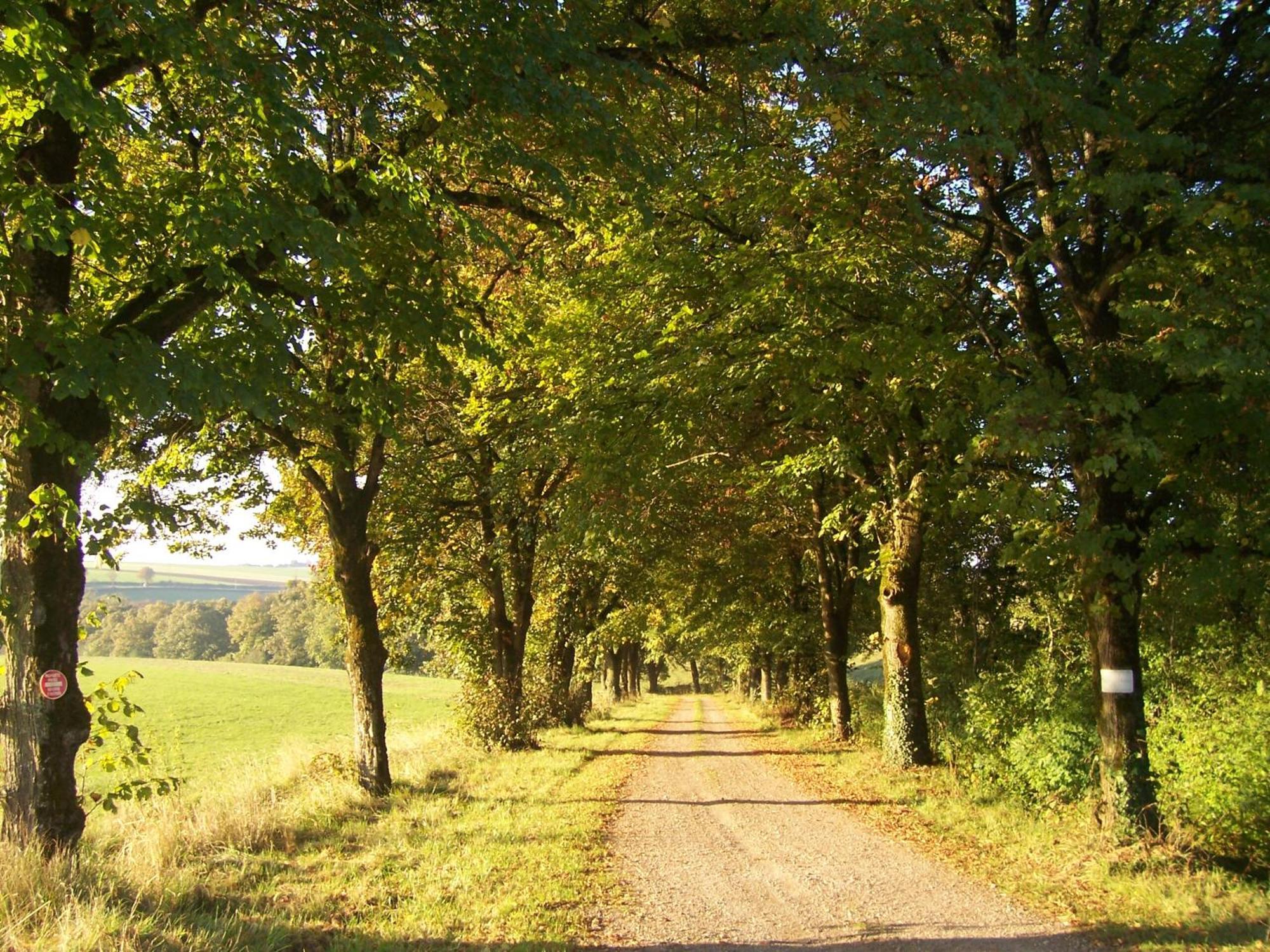 Domaine De Dremont Bed and Breakfast Anthien Exteriör bild