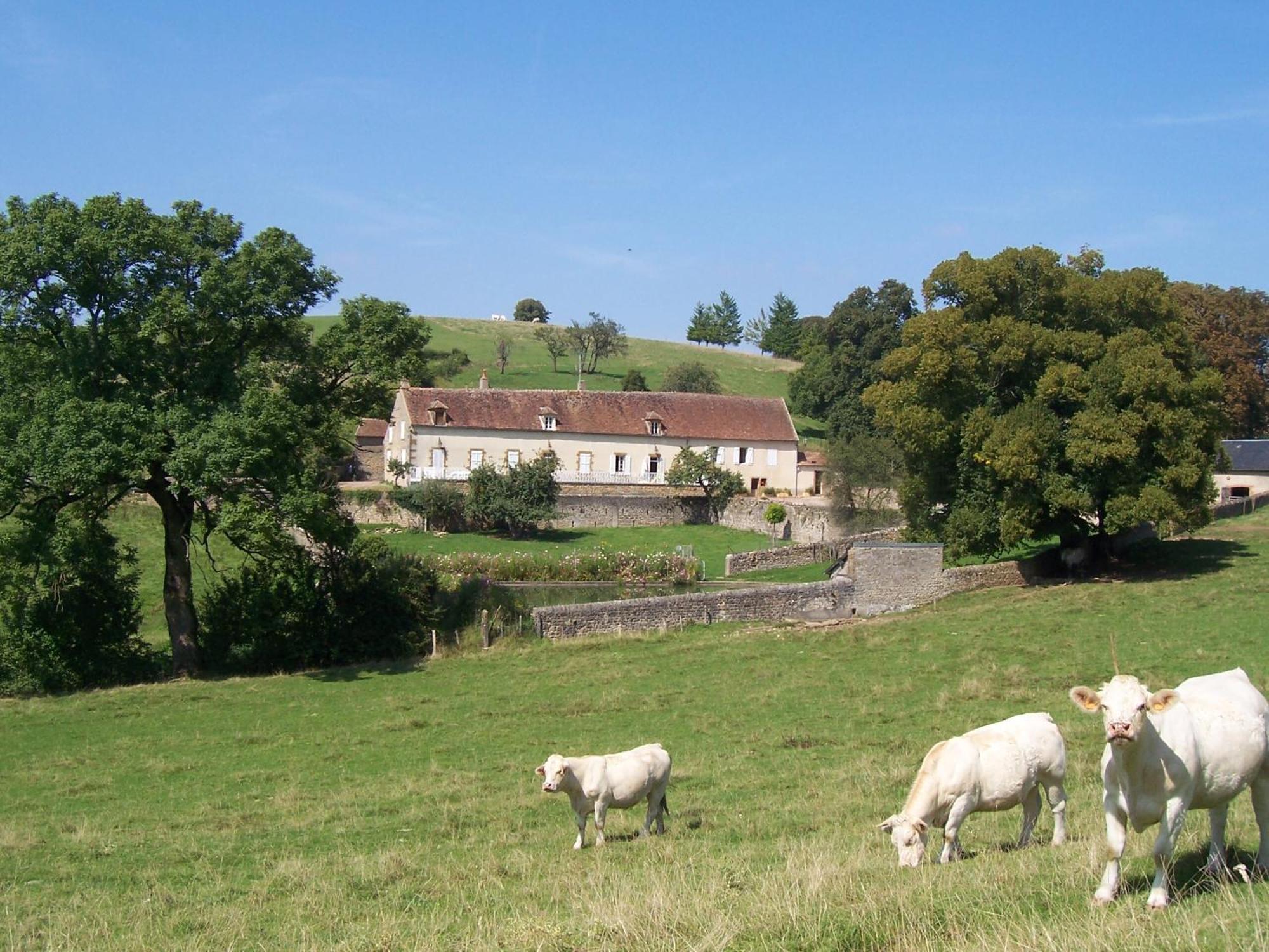 Domaine De Dremont Bed and Breakfast Anthien Exteriör bild