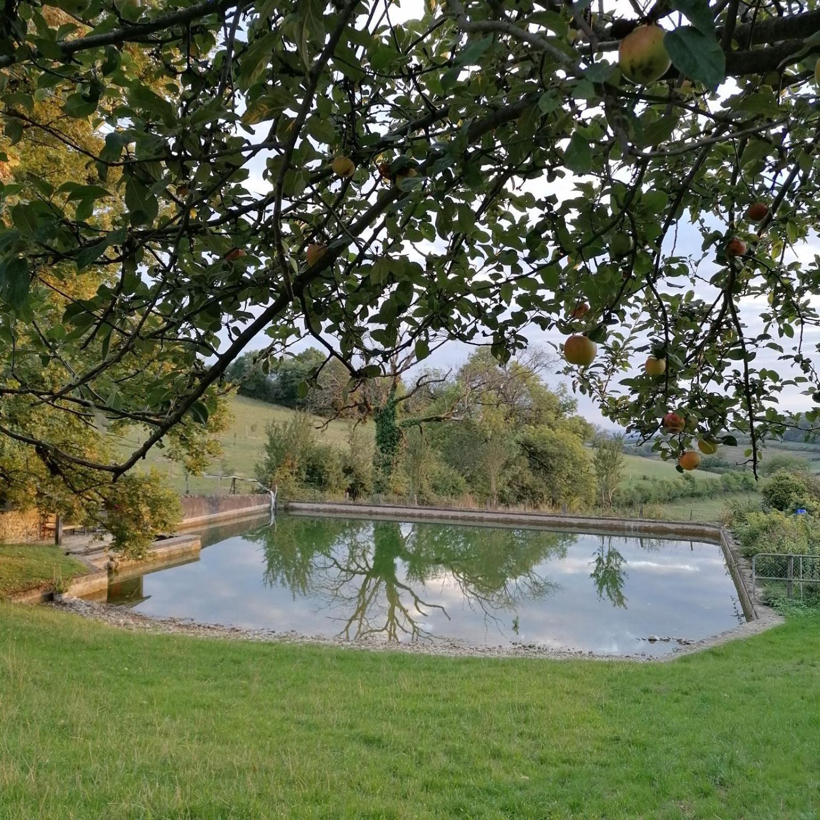 Domaine De Dremont Bed and Breakfast Anthien Exteriör bild